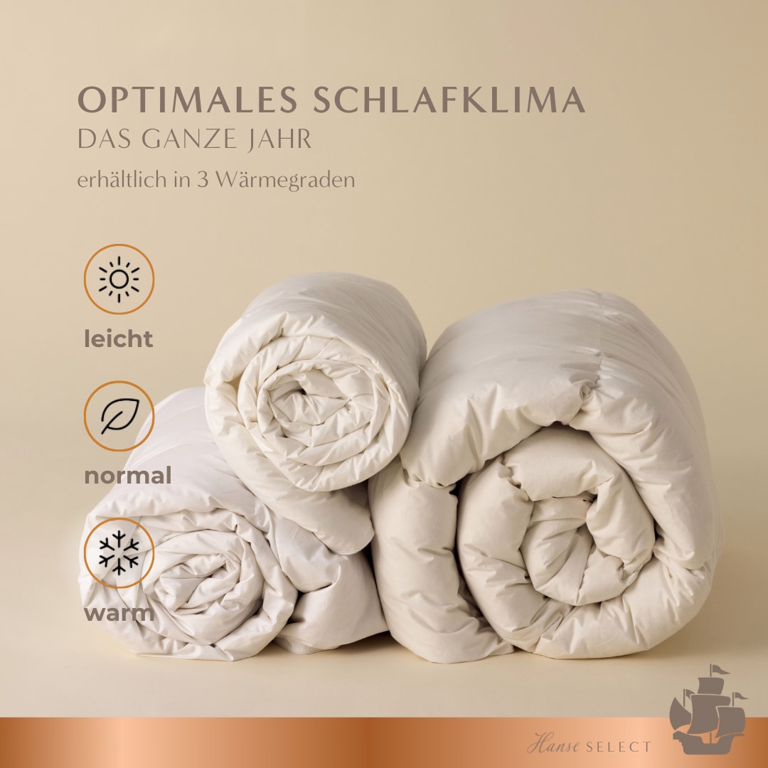 Hanse mit Kogge Microfaserbettdecke »Hanse Select federfrei, Luxushotel, Ganzjahresdecke, Made in Germany« normal Füllung 100% hochwertige 6D-Hohlfaser 1 Stk. tlg. hochwertige Bettdecke 135x200 cm, 155x220 cm & weitere Größen