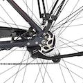 FISCHER Fahrrad E-Bike »VIATOR ETH 2222 422«, 24 Gang, Shimano, Altus, Heckmotor 250 W, (mit Akku-Ladegerät-mit Werkzeug)