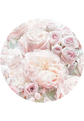 Fototapete »Pink and Cream Roses«