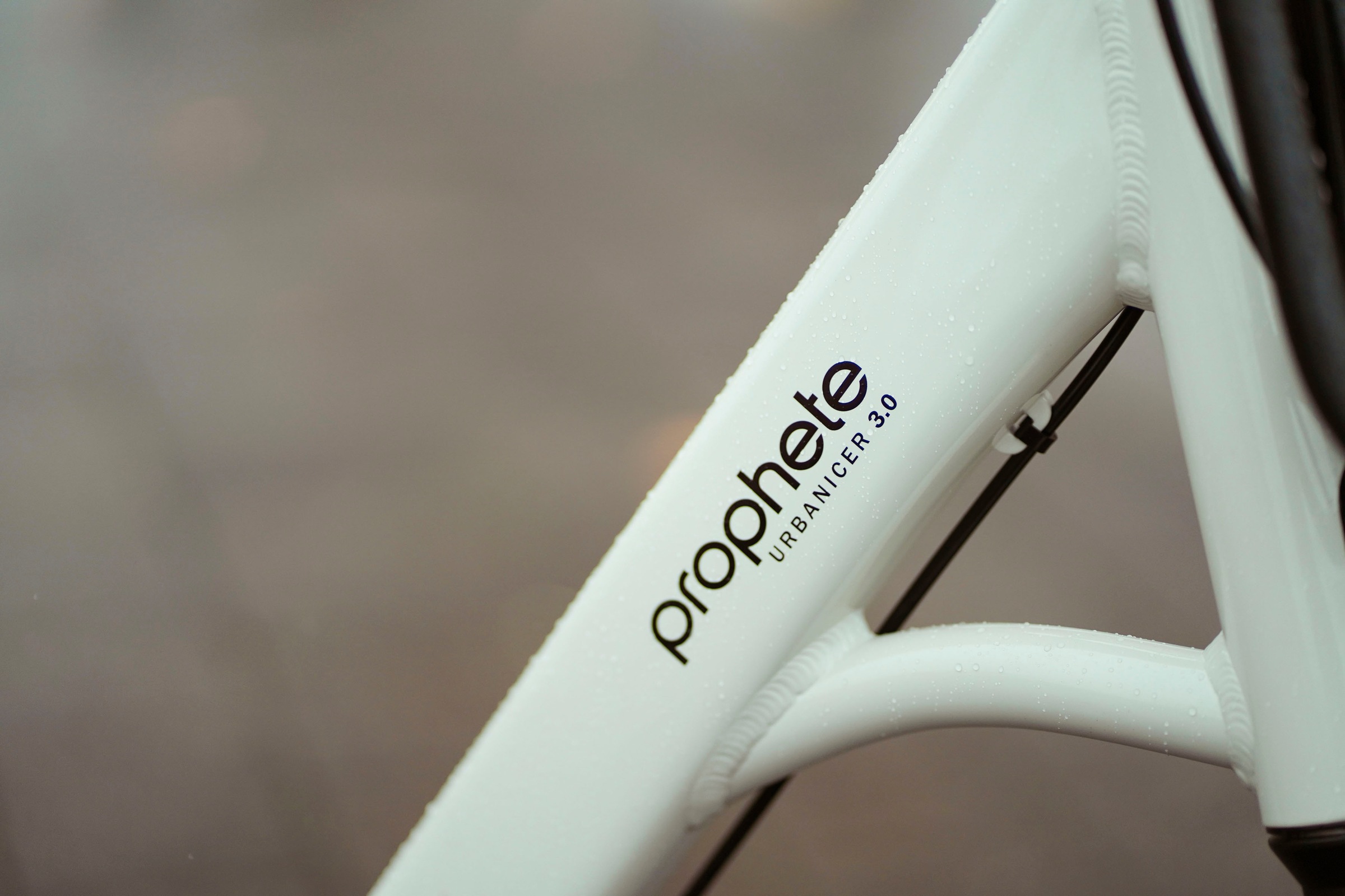 Prophete E-Bike »Urbanicer 3.0«, 7 Gang, Shimano, Nexus, Mittelmotor 250 W, Pedelec, Elektrofahrrad für Damen u. Herren