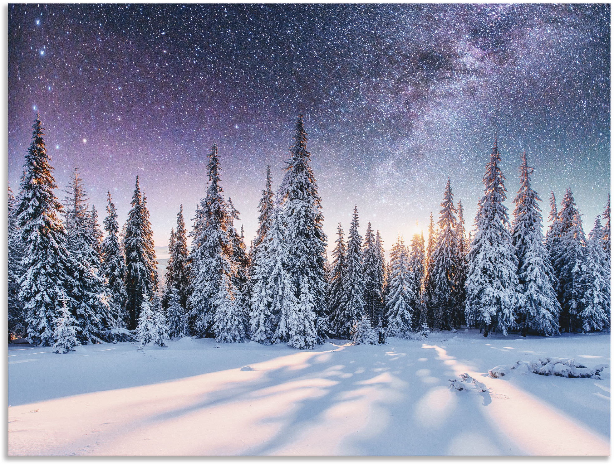 Wandbild »Tannenwald im Schnee vorm Sternenhimmel«, Berge & Alpenbilder, (1 St.), als...