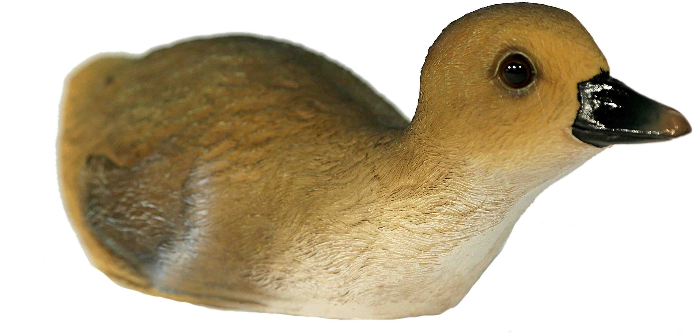 Casa Collection by Jänig Tierfigur »Ente schwimmend, Breite ca. 25cm«