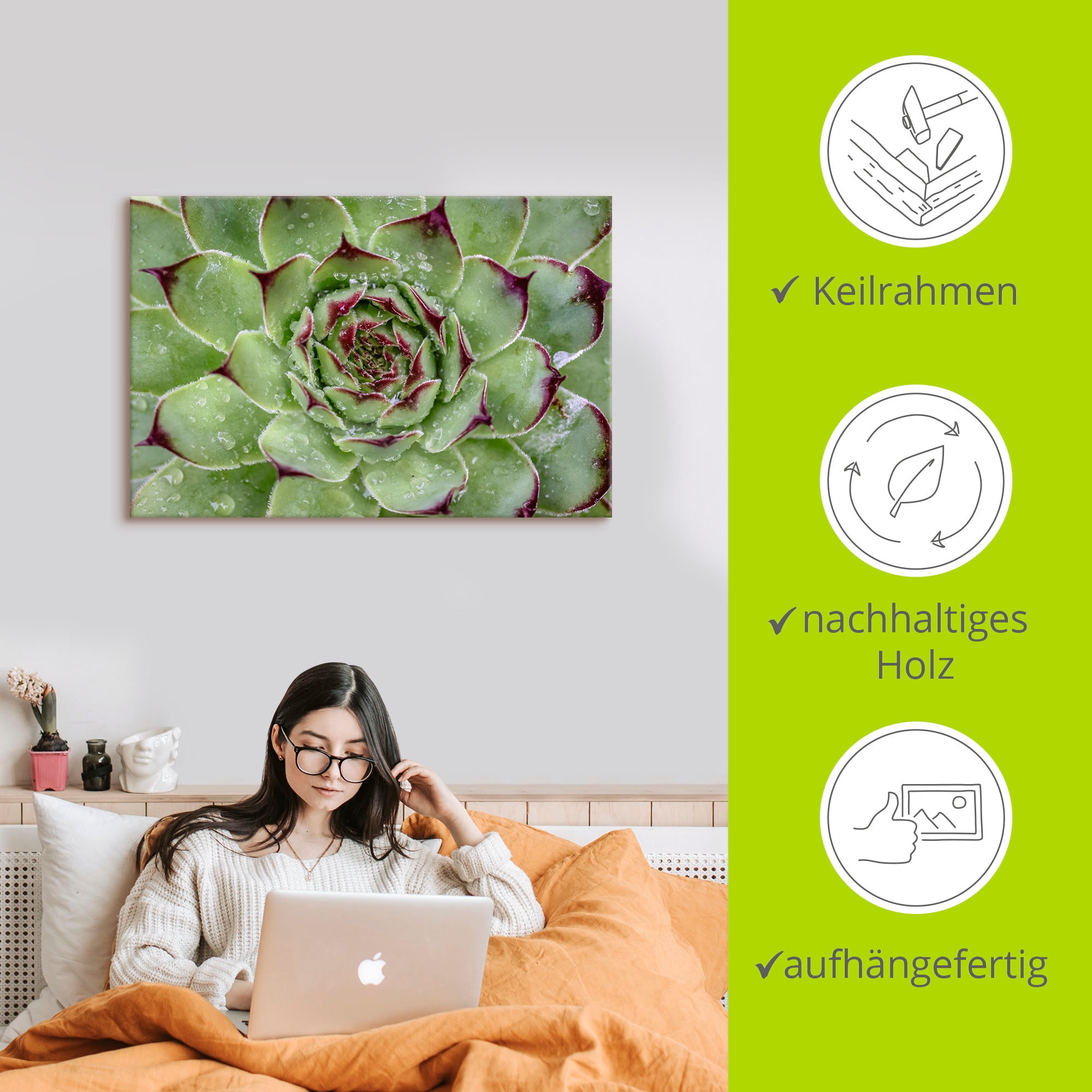 Artland Leinwandbild »Sukkulente mit Regentropfen« Pflanzenbilder 1 Stk. tlg. auf Holzrahmen gespannt