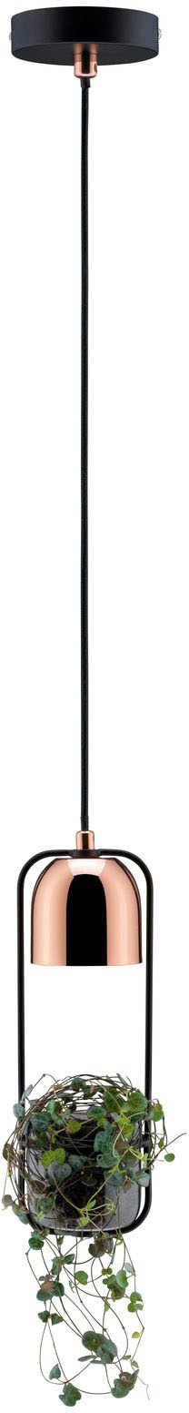 Paulmann LED Pendelleuchte »Fanja«, 1 flammig, Leuchtmittel GU10 | ohne Leuchtmittel, GU10, 1-flammig Pflanzenleuchte Schwarz/Kupfer