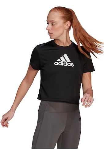 adidas Performance Trainingsshirt »BIG LOGO CROPPED TEE« kaufen