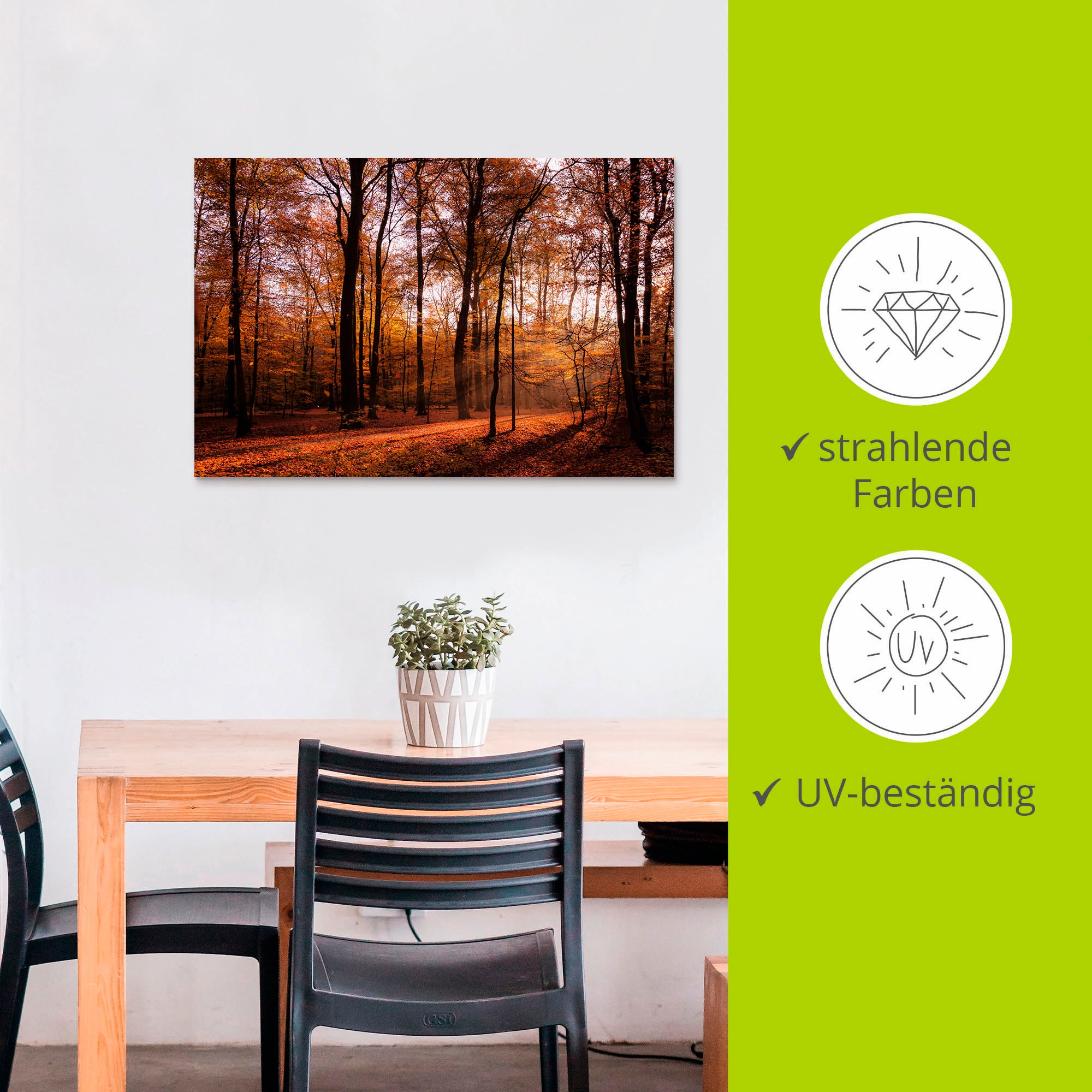 Artland Wandbild »Sonnenaufgang im Herbst II«, Wald, (1 St.), als Alubild, Outdoorbild, Leinwandbild, Poster, Wandaufkleber