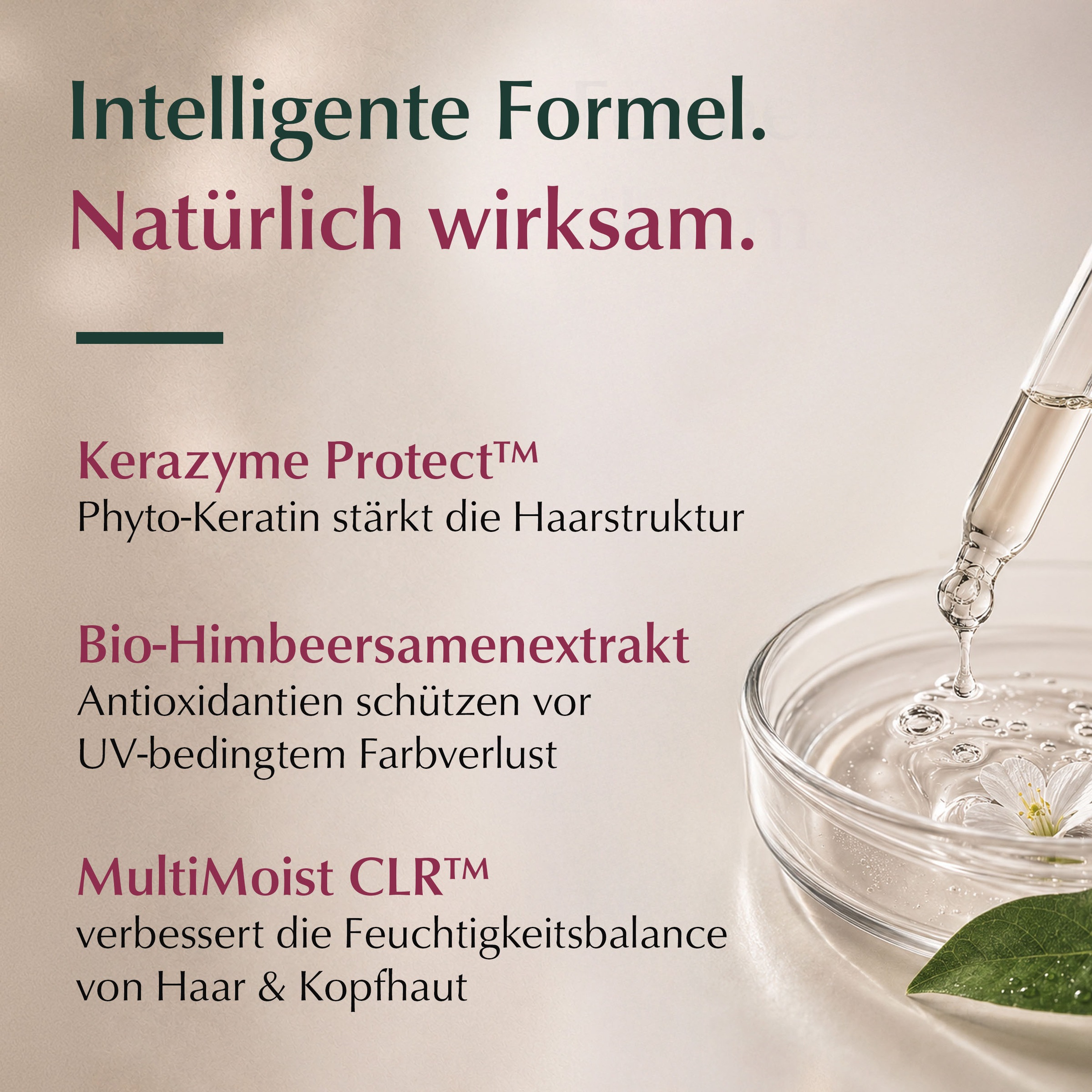 LOGONA Haarshampoo »COLOR PROTECT SHAMPOO« für coloriertes, gesträhntes und naturbelassenes Haar, gegen Frizz