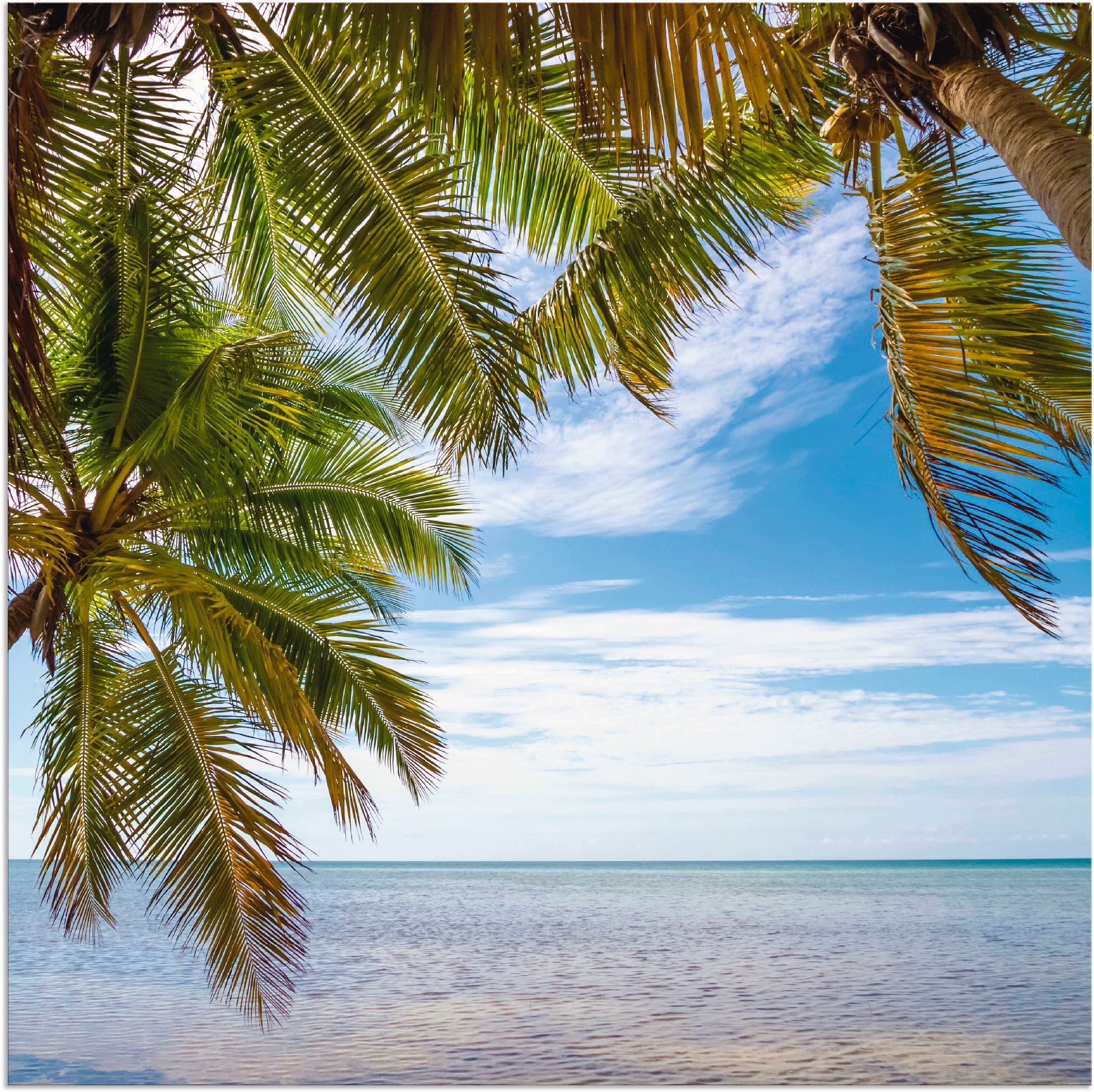 Artland Wandbild »Florida Keys Das Meer«, Bäume, (1 St.), als Alubild,  Leinwandbild, Wandaufkleber oder Poster in versch. Größen kaufen bei OTTO