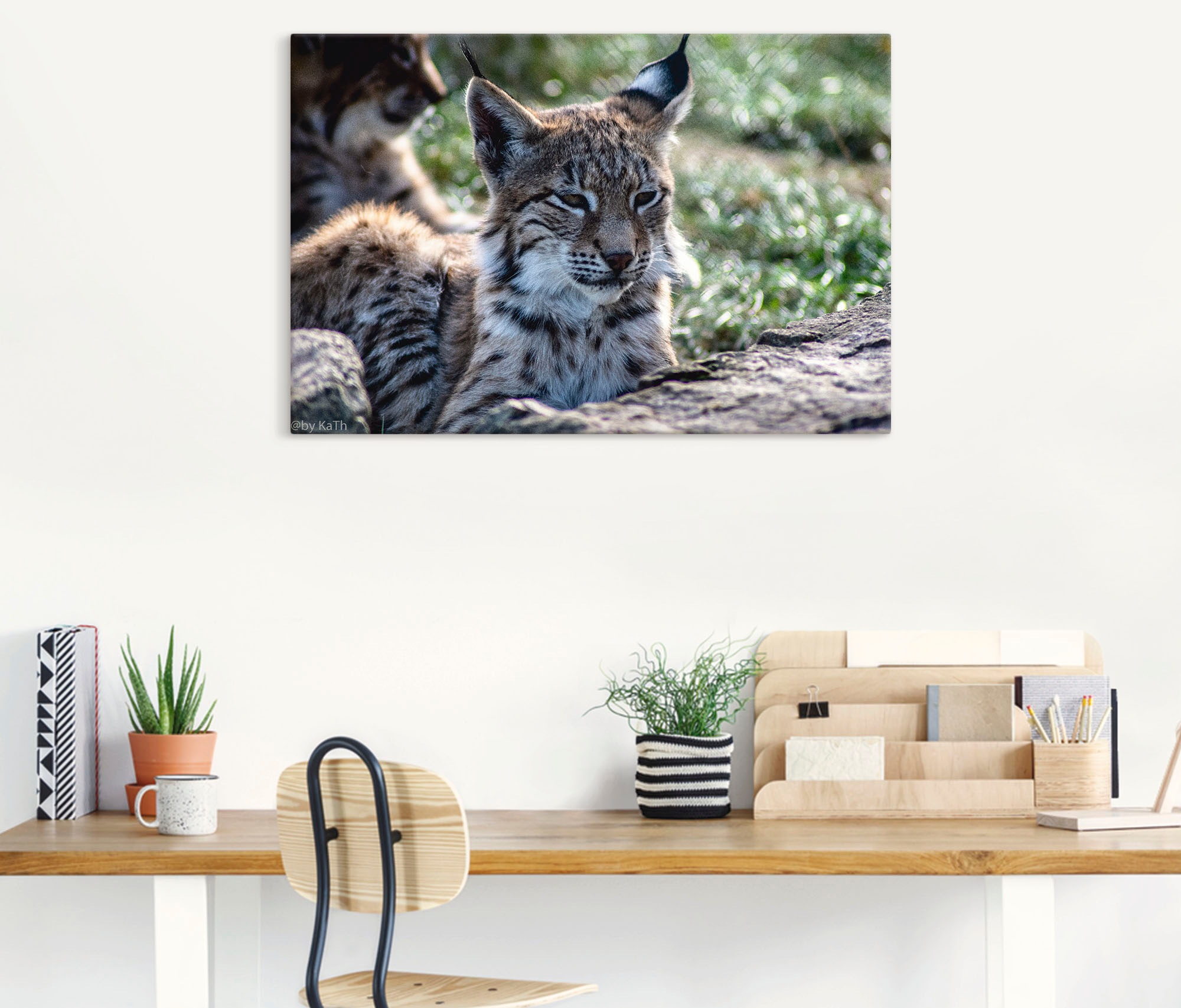 Artland Leinwandbild »Luchs«, Wildtiere, (1 St.), auf Keilrahmen gespannt