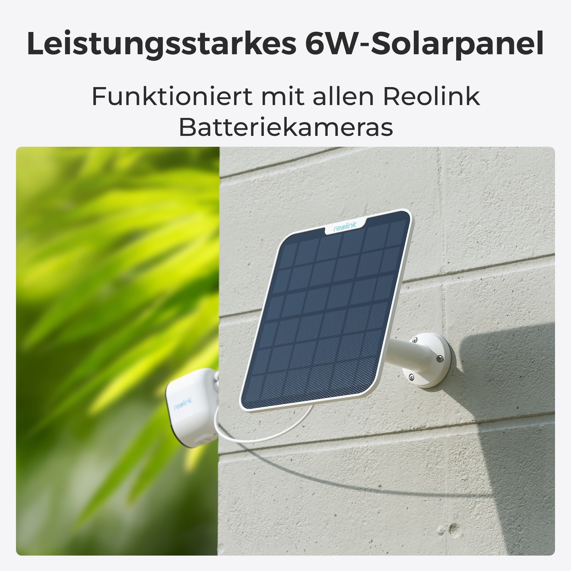 Reolink Überwachungskamera »Argus Series B440«, Außenbereich-Innenbereich, 4K, Pan&Tilt