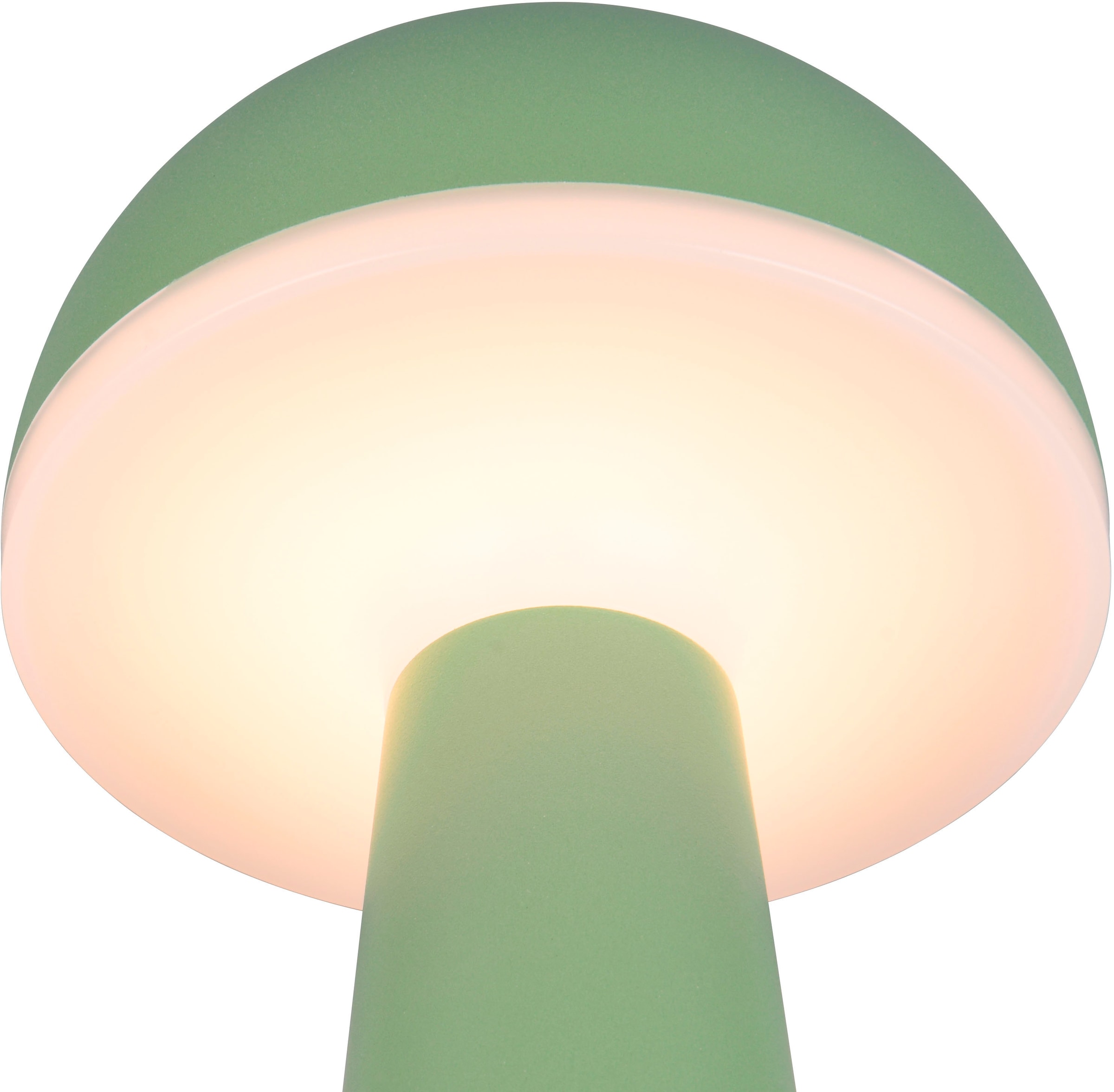 REALITY Leuchten LED Außen-Tischleuchte »FUNGO«, 1 flammig, Leuchtmittel LED-Board | LED fest integriert, Outdoor Akku Tischlampe inkl Ladestation USB-C, Lichtfarbe einstellbar