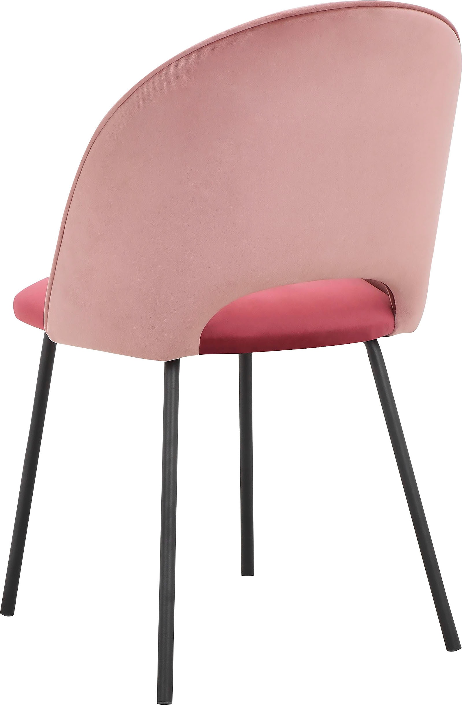 INOSIGN Esszimmerstuhl »Elif«, 2 St., Veloursstoff, im 2er Set erhältlich,  mit Sitz und Rückenlehne, Sitzhöhe 50 cm online kaufen