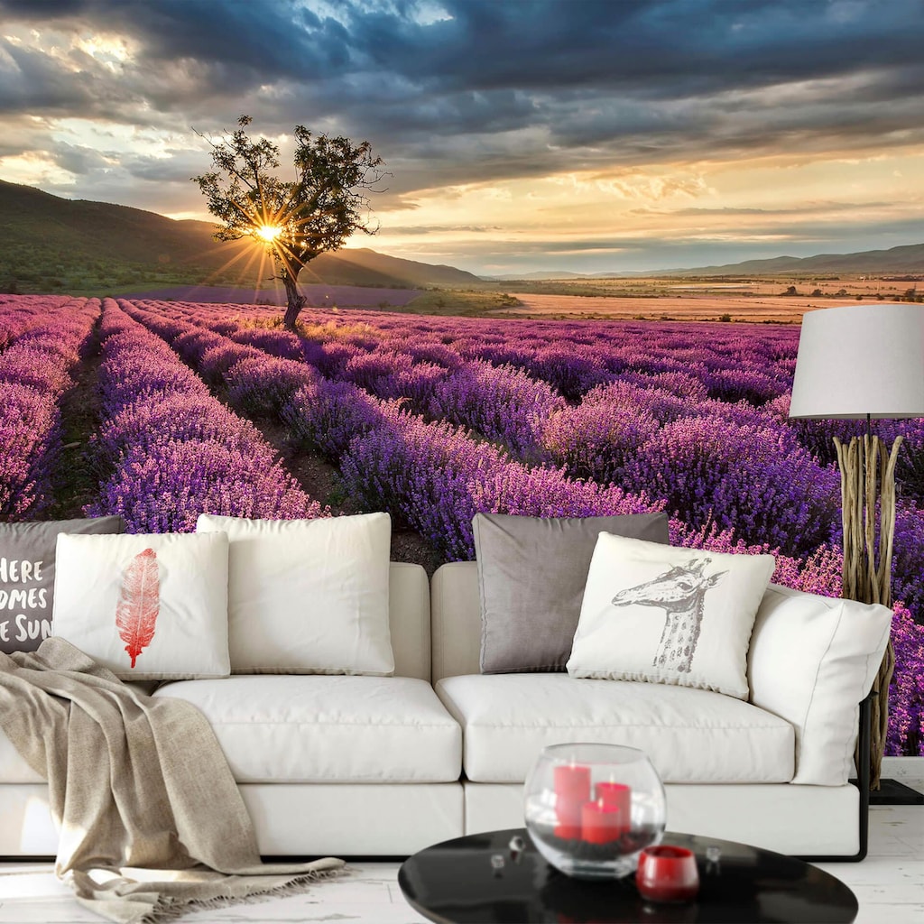 Wall-Art Vliestapete »Lavendelblüte in der Provence«