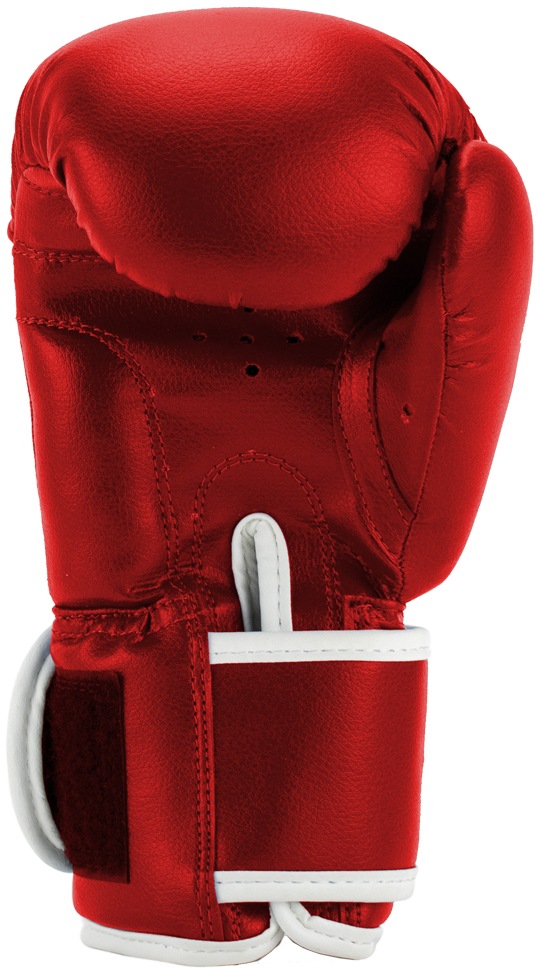 Super Pro Boxhandschuhe »Talent«
