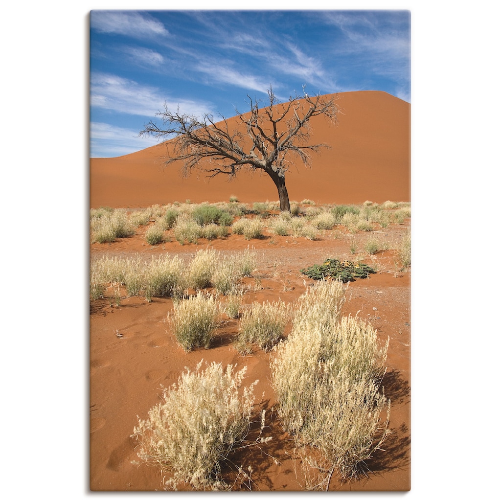 Artland Wandbild »Namib-Wüste 2«, Afrika, (1 St.)