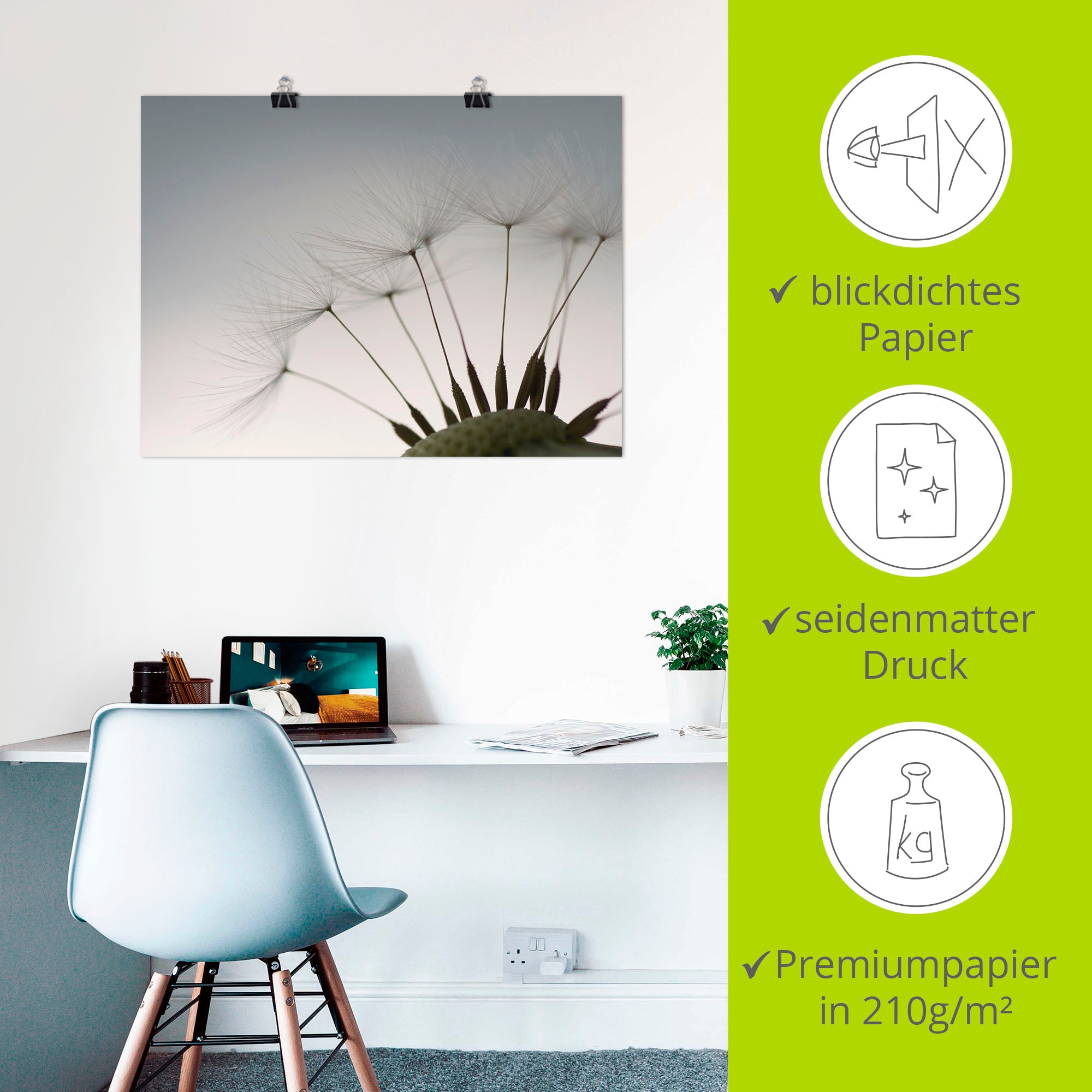 Artland Wandbild »Pusteblumen-Samen I«, Blumen, (1 St.), als Alubild, Outdoorbild, Leinwandbild, Poster in verschied. Größen