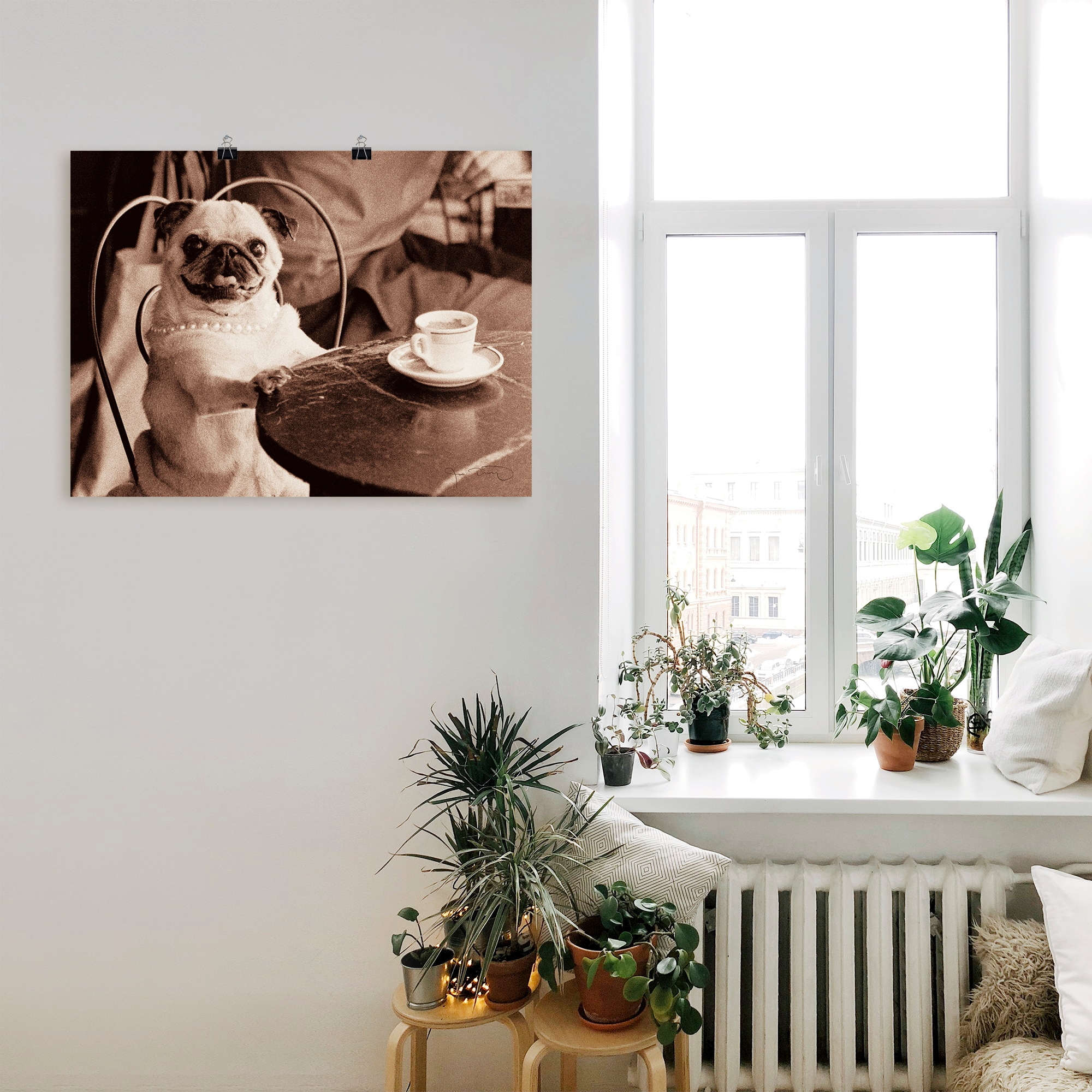 in OTTO Poster, Wandaufkleber kaufen verschied. Haustiere, bei St.), Leinwandbild, Artland Wandbild Größen »Kaffee Mops«, als (1