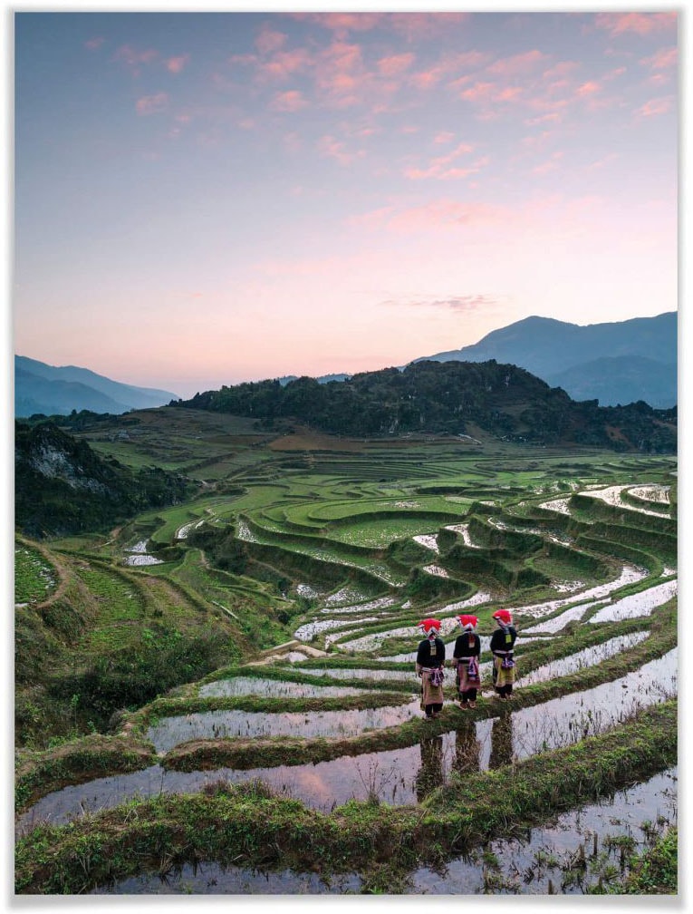 Poster »Reisterrassen Vietnam«, Landschaften, (1 St.), Poster ohne Bilderrahmen