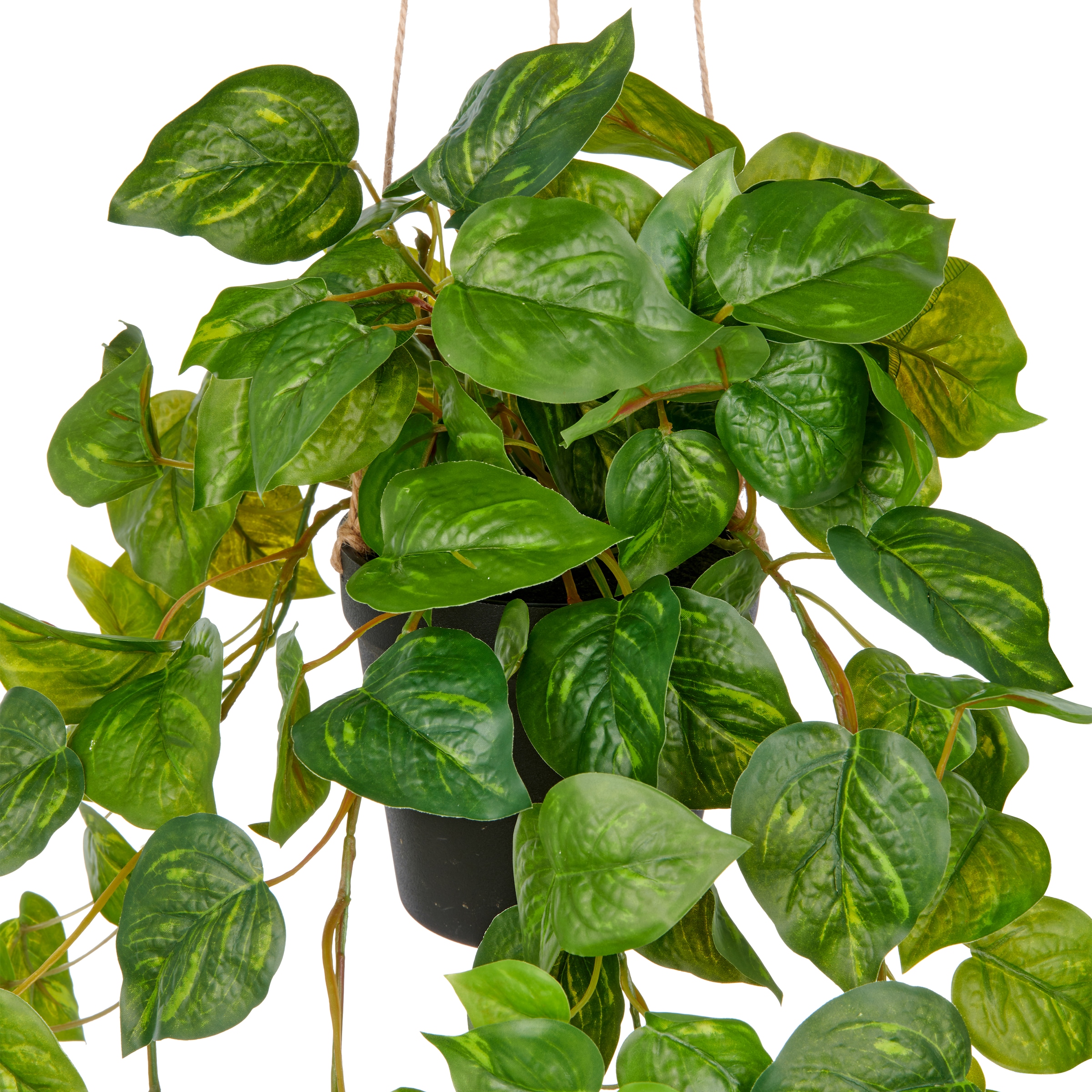 Creativ green Kunstpflanze »Hängender Philodendron hederaceum« mit üppigen Ranken