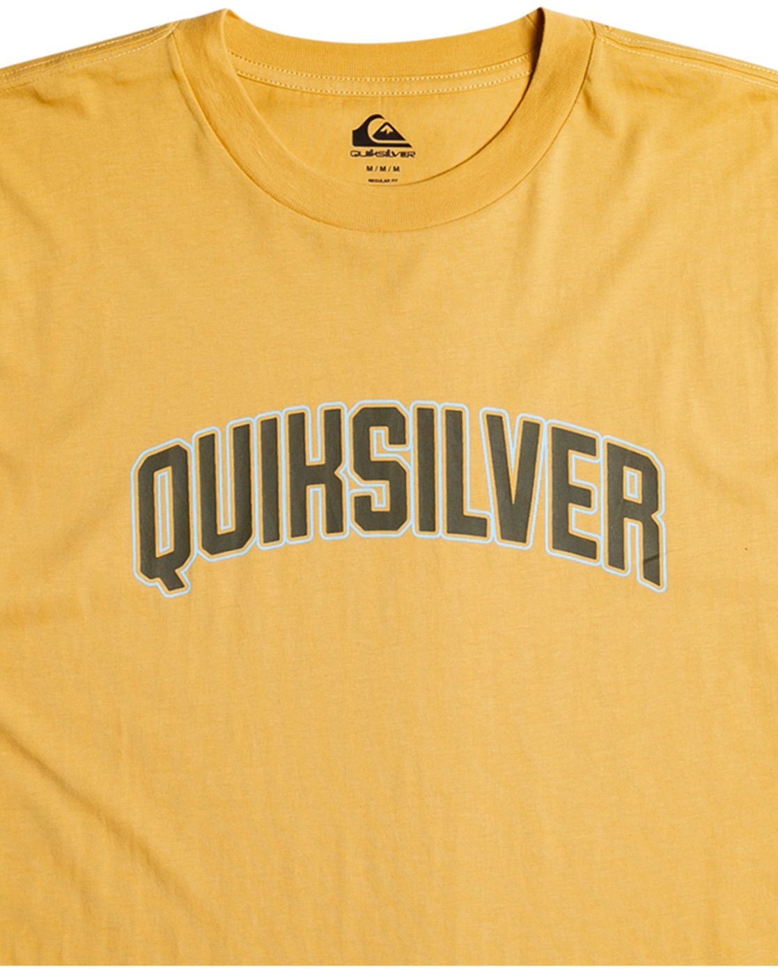 Quiksilver T-Shirt »Scholarship«