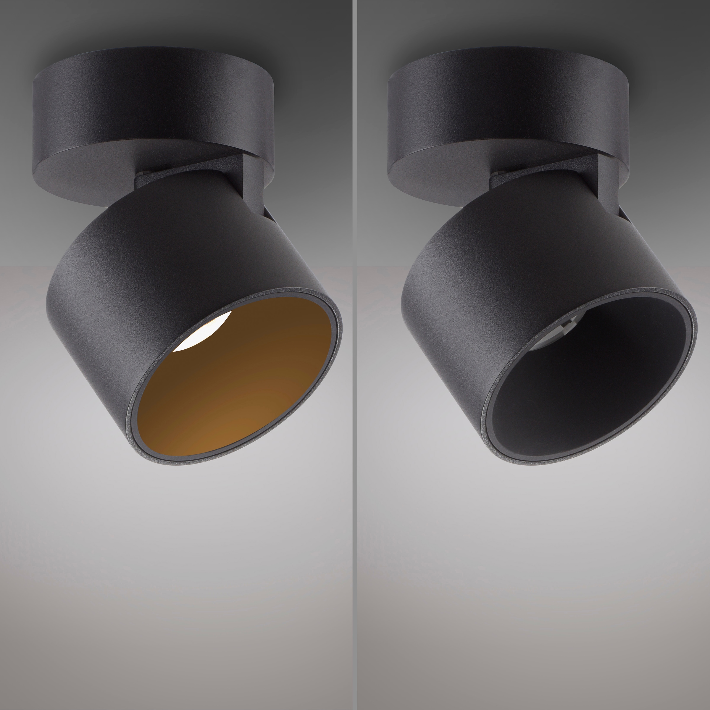Neuhaus PURE LED Deckenleuchte »PURE Cup« LED-Board 1 Stk. Warmweiß Dimmfähig über separaten Tronicdimmer, dreh- & schwenkbar
