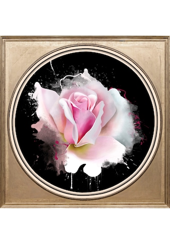 queence Acrylglasbild »Rose« kaufen