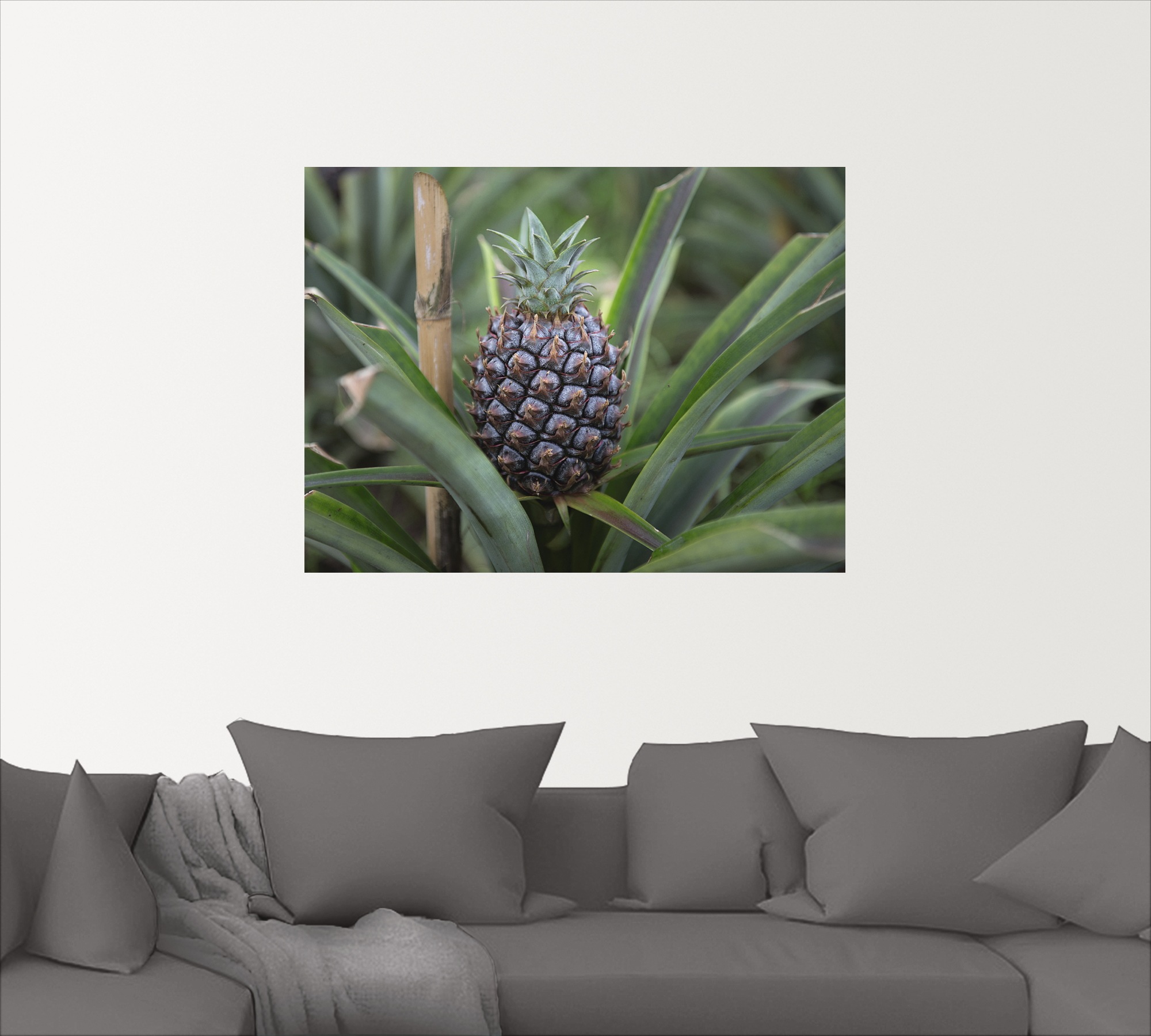 Artland Wandbild »Ananas«, Lebensmittel, (1 St.), in vielen Größen & Produktarten - Alubild / Outdoorbild für den Außenbereich, Leinwandbild, Poster, Wandaufkleber / Wandtattoo auch für Badezimmer geeignet