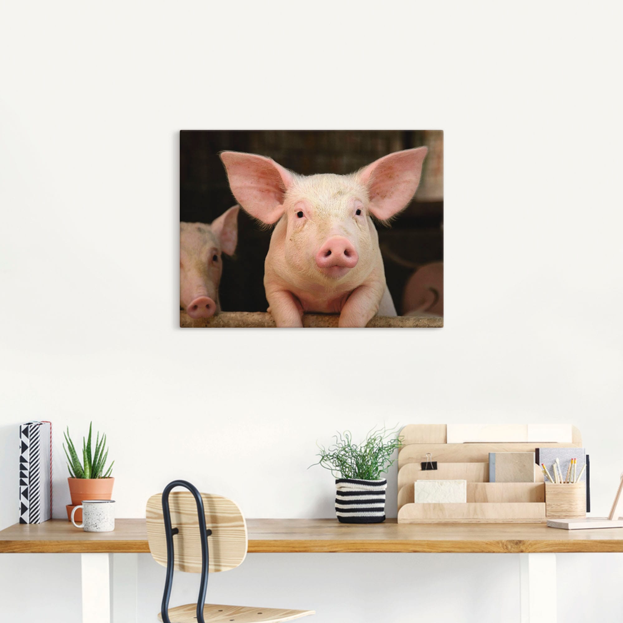 Artland Wandbild »Vorwitziges Schwein«, Haustiere, (1 St.), als Leinwandbild, Wandaufkleber in verschied. Größen