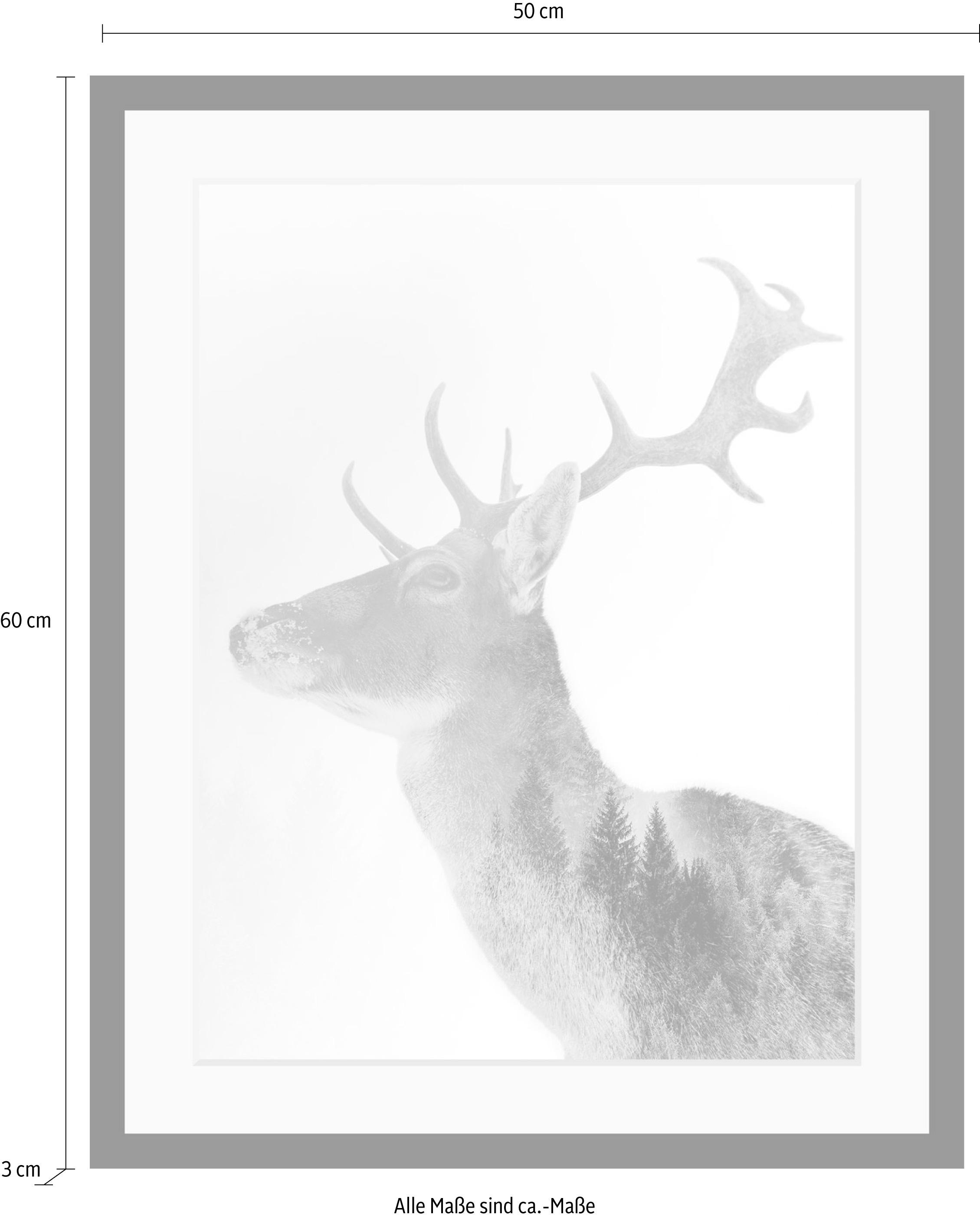 queence Bild »Hirsch«, Hirsch-Tiere-Wildtiere-Hirschbilder-Wald-Waldbilder-Schwarz-Weiß, HD Premium Poster-Druck inkl. Holzrahmen
