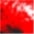 rot