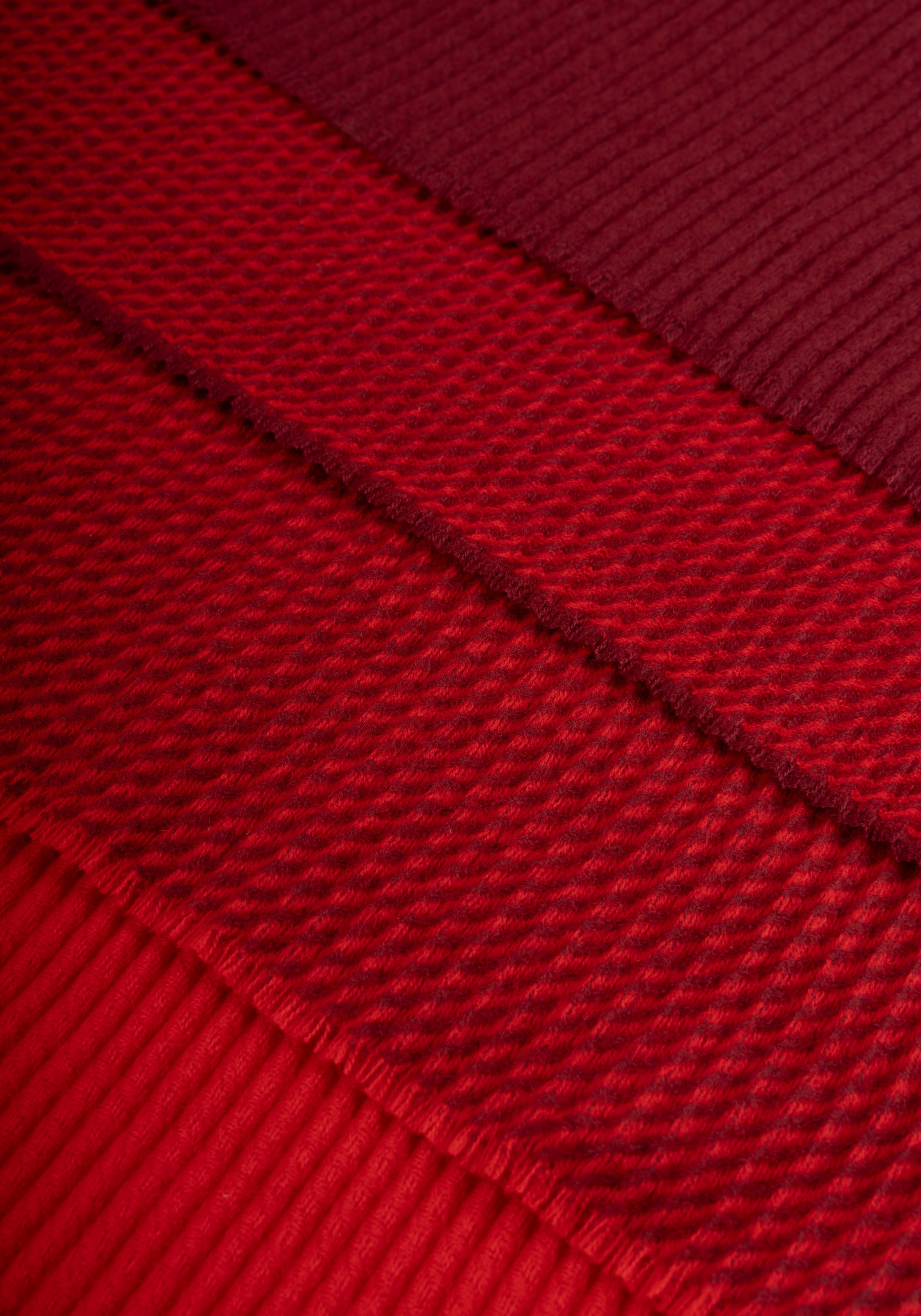 Capelli New York Modeschal tricolor, leichte Fransenkante, Farbverlauf