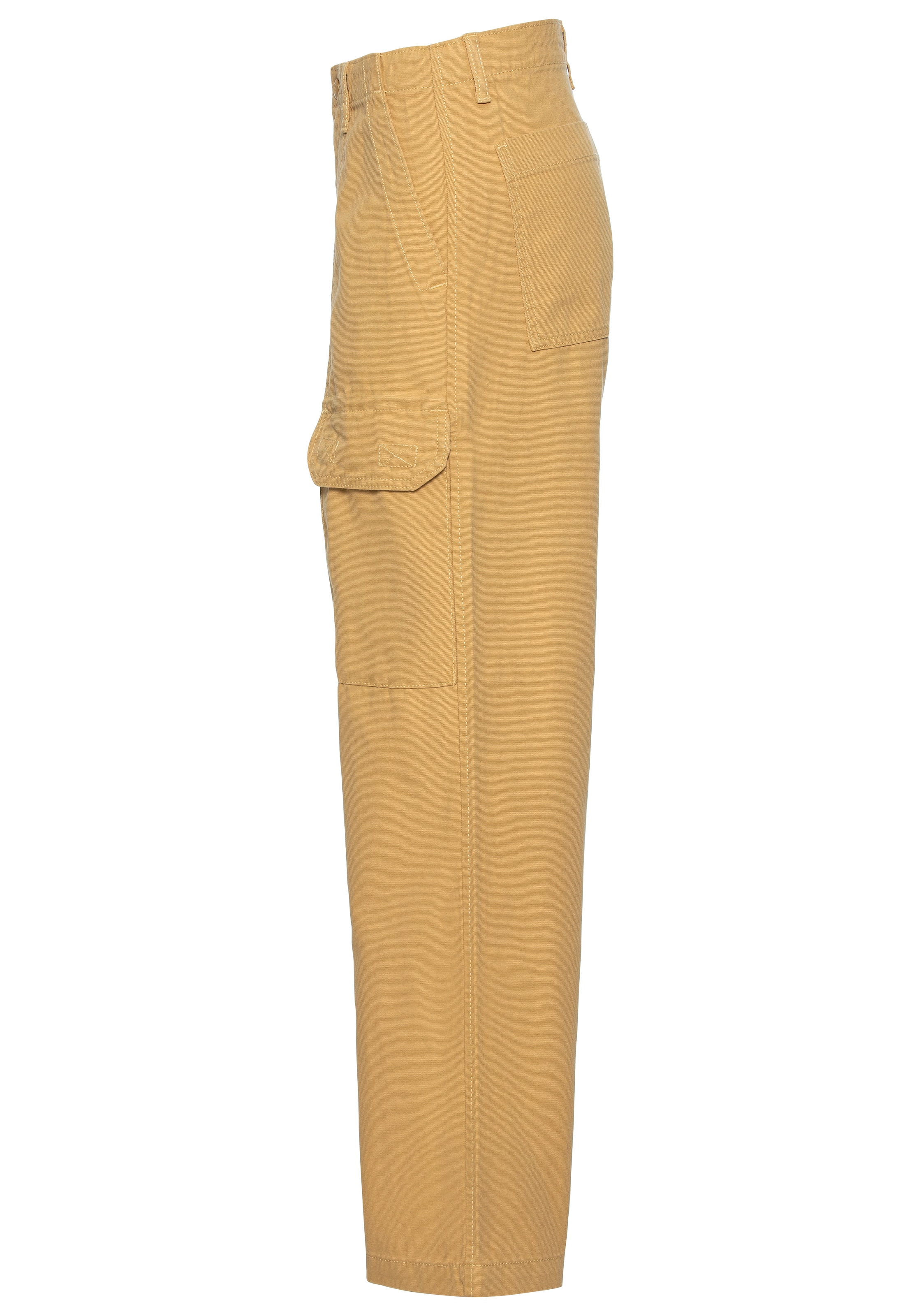 Vans Cargohose
