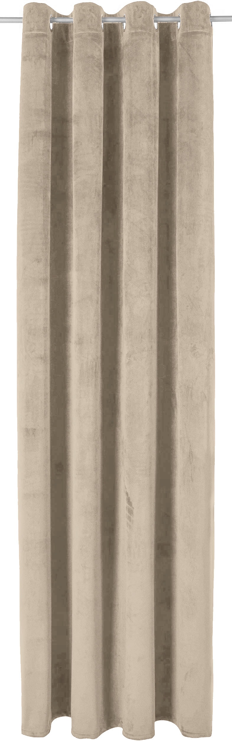 Leonique Gardine »Velvet-Leonique«, (1 St.), bei monochrom, Größen OTTO inkl. Raffhalter, Samt, verschiedene kaufen blickdicht