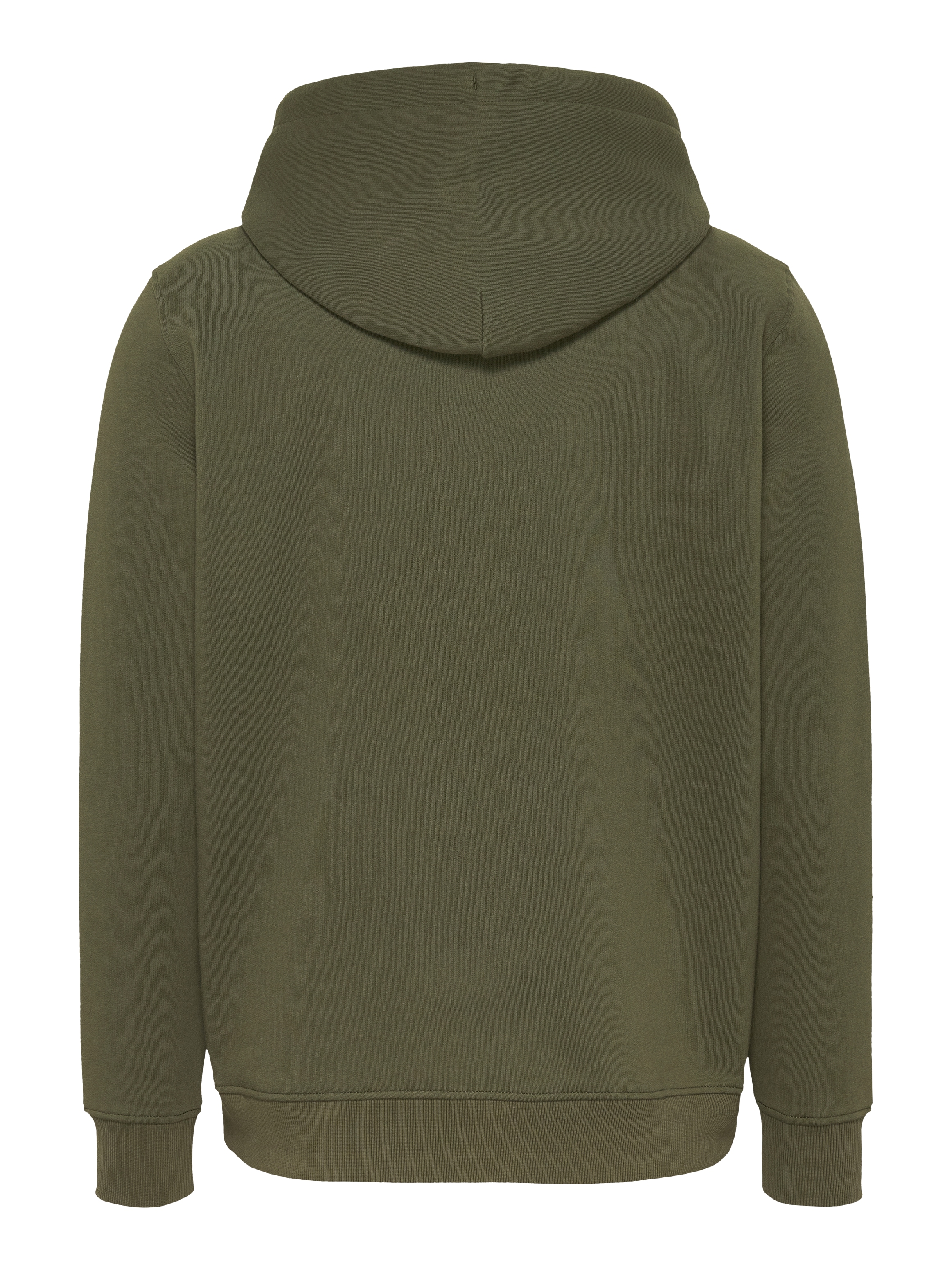 Tommy Jeans Plus Hoodie »TJM REG LINEAR LOGO HOODIE EXT«, in Große Größen, Logodruck
