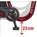 Didi THURAU Edition E-Bike »Alu City Rad-Roller 3in1 Plus«, 3 Gang, Frontmotor 350 W