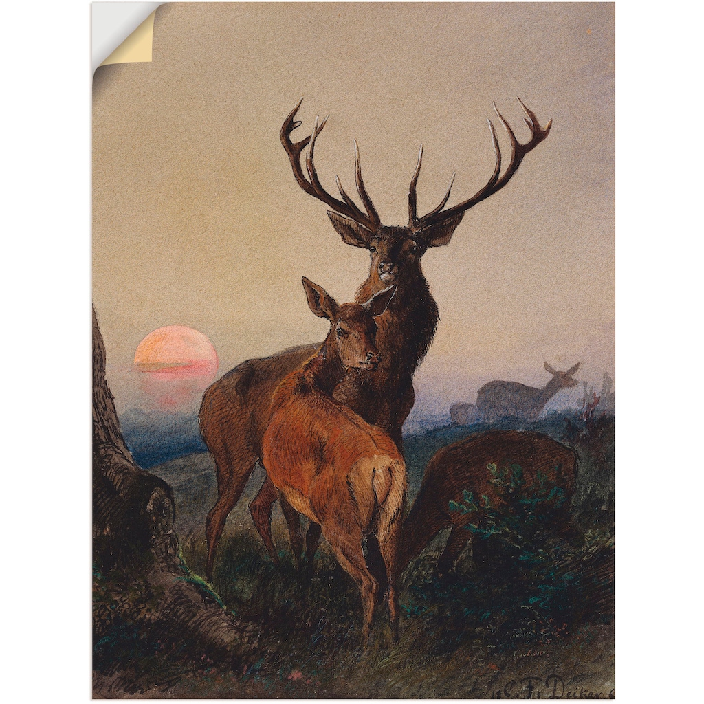 Artland Wandbild »Hirsch und ein Reh bei Sonnenuntergang«, Wildtiere, (1 St.)