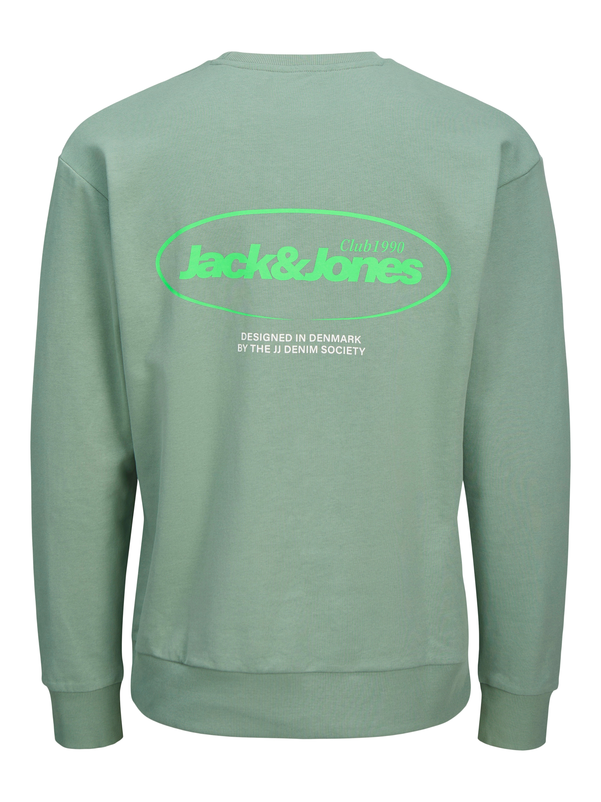 Jack & Jones Sweatshirt »JJEBRADLEY GRAPHIC SWEAT CREW NOOS«, mit Front und Back Print