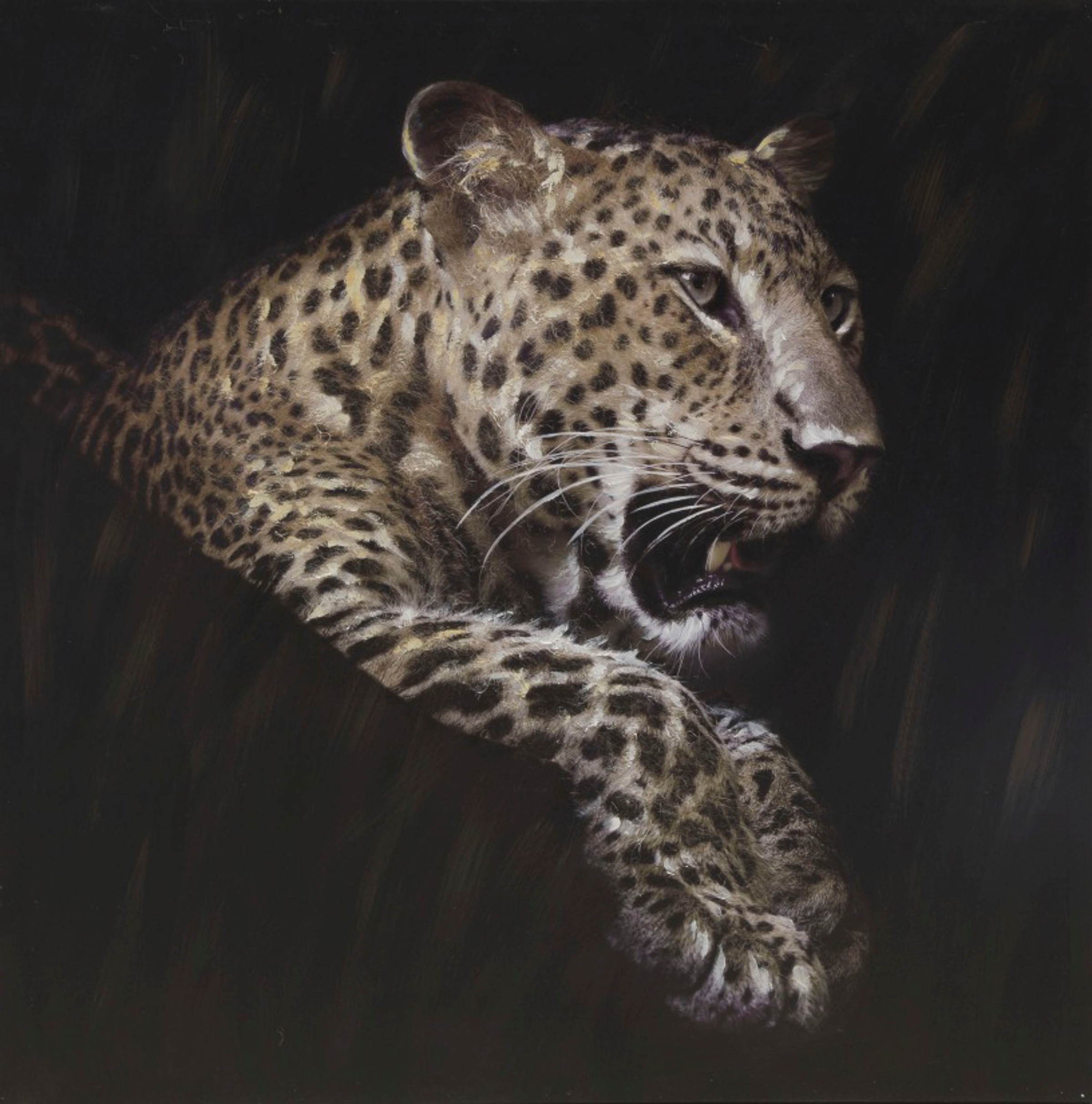 Spiegelprofi GmbH Leinwandbild »RIMBO«, Leopard, (1 St.)