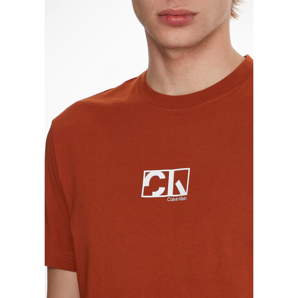 Calvin Klein T-Shirt »GRAPHIC BOX LOGO T-SHIRT«