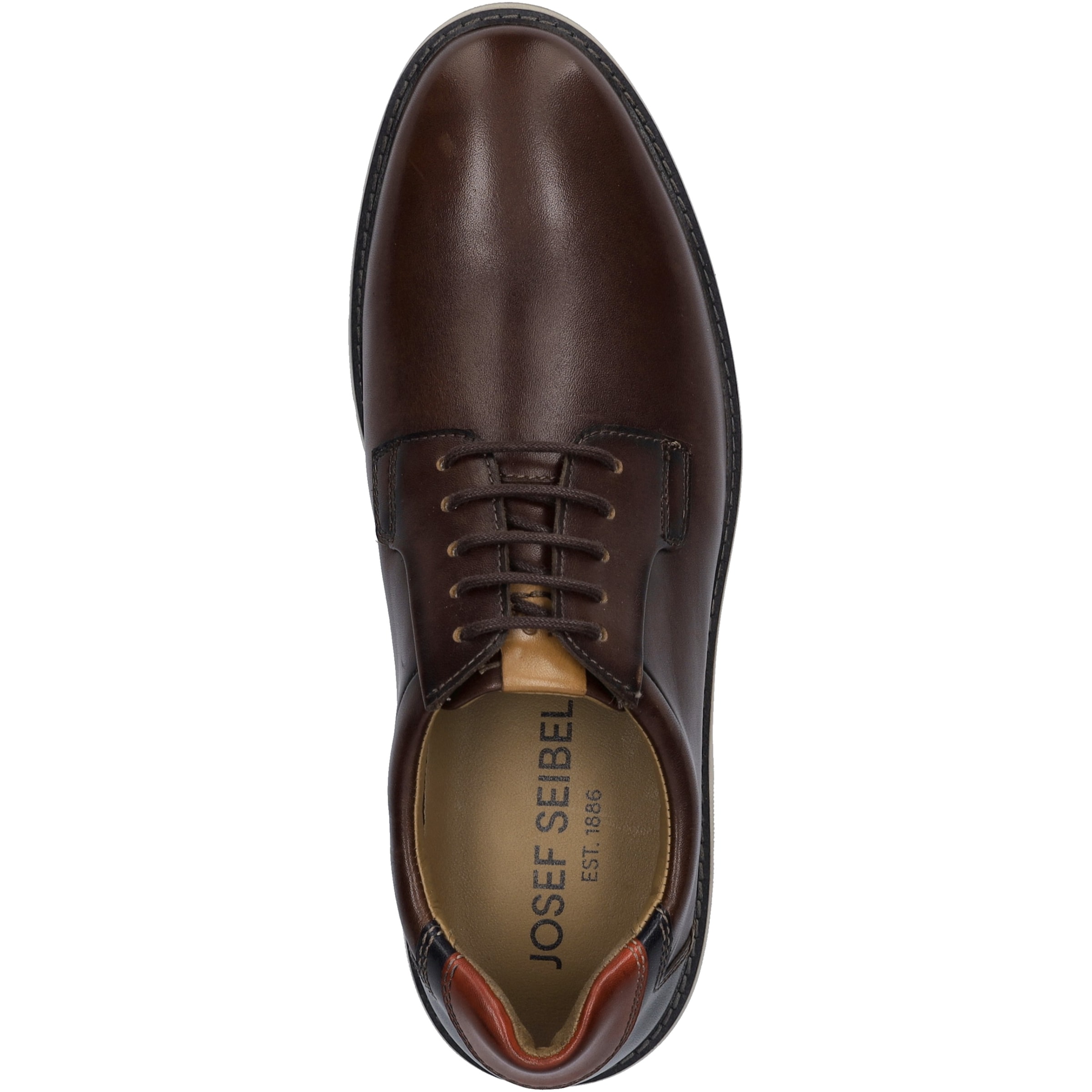 Josef Seibel Schnürschuh »Stuart 03, castagne-multi«