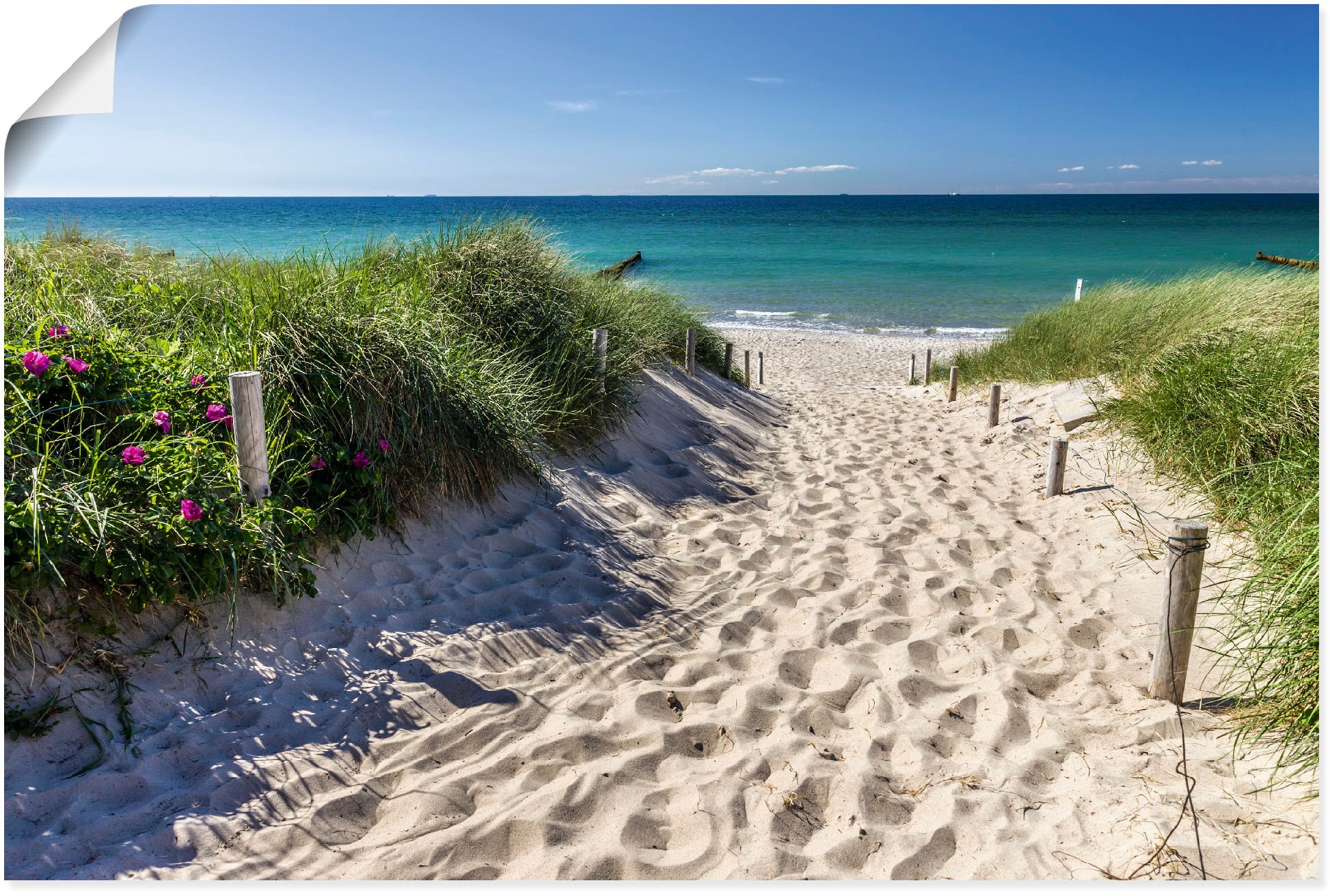 Wandbild »Weg zum Strand an der Ostsee«, Strandbilder, (1 St.), als Alubild,...