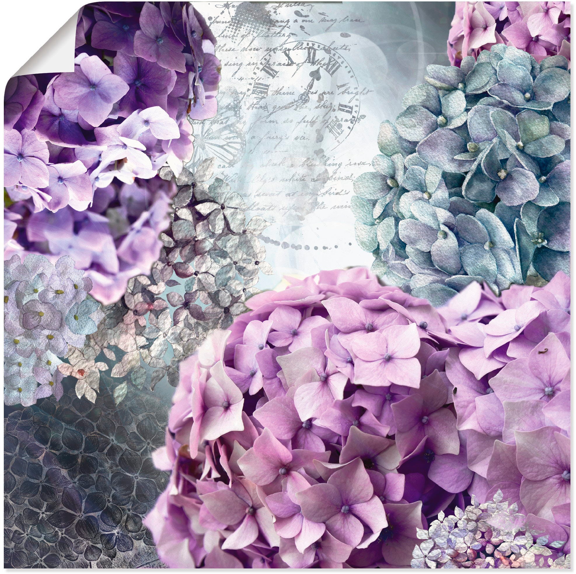 Artland Wandbild »Blau und Grau Hortensie«, Blumen, (1 St.), in vielen Größen & Produktarten - Alubild / Outdoorbild für den Außenbereich, Leinwandbild, Poster, Wandaufkleber / Wandtattoo auch für Badezimmer geeignet
