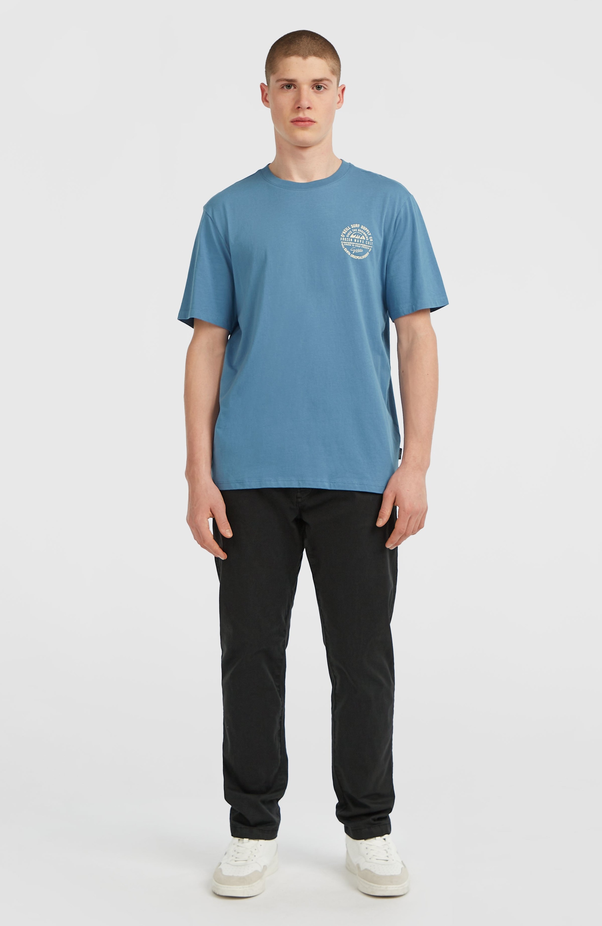 O'Neill T-Shirt »O'NEILL CHEST PRINT T-SHIRT«, (1 tlg.)