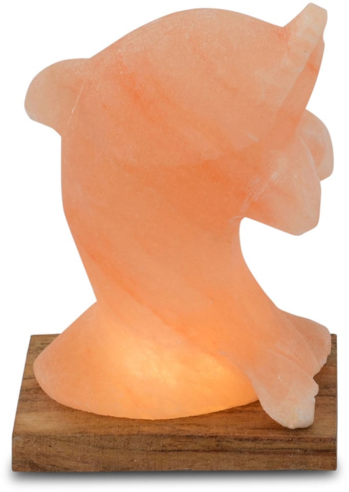 HIMALAYA SALT DREAMS Salzkristall-Tischlampe »Delfin«, Handgefertigt aus Salzkristall - jeder Stein ein Unikat, H: ca.15 cm