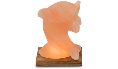Salzkristall-Tischlampe »Delfin«
