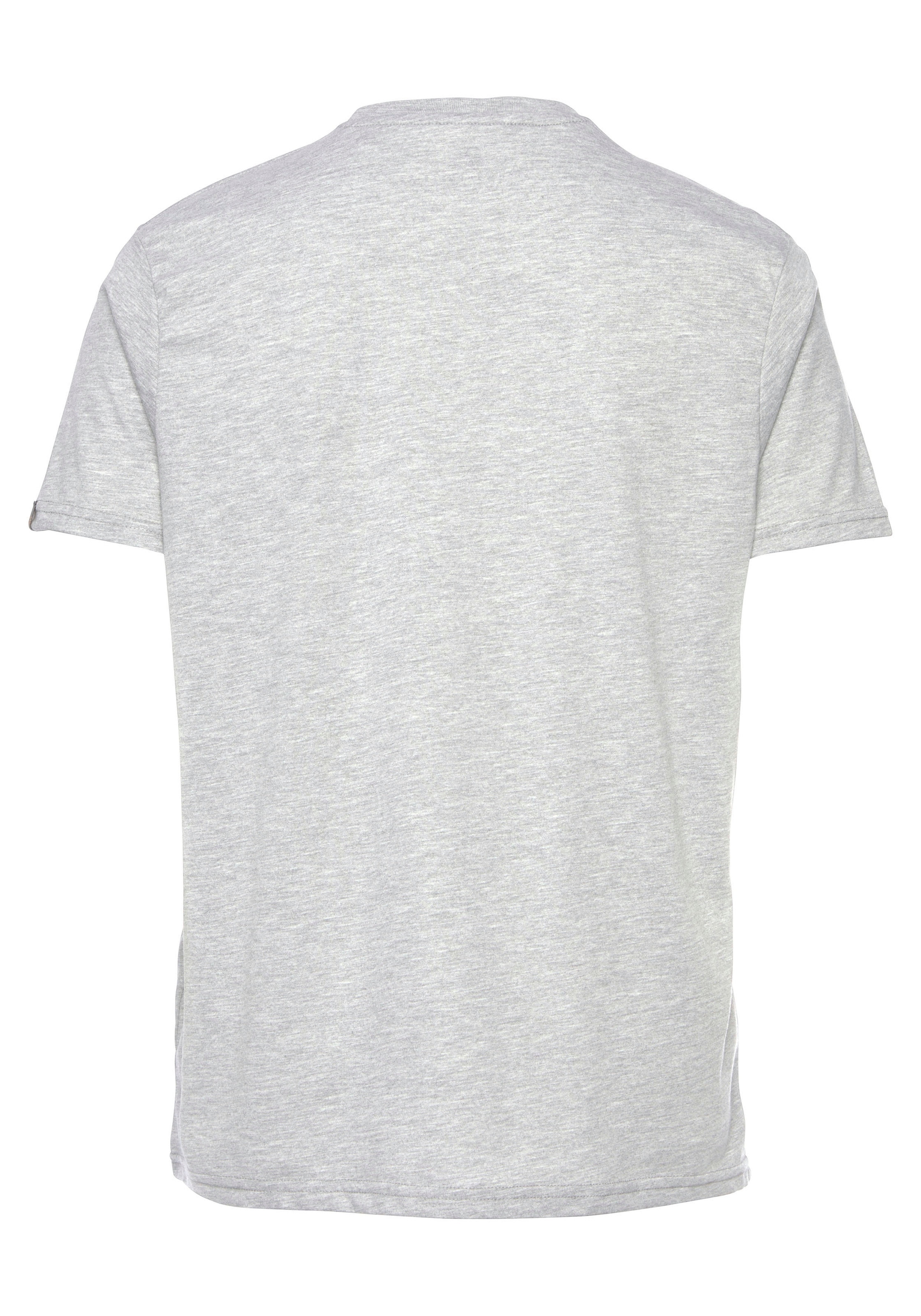 Alpha Industries T-Shirt »Basic T-Shirt«