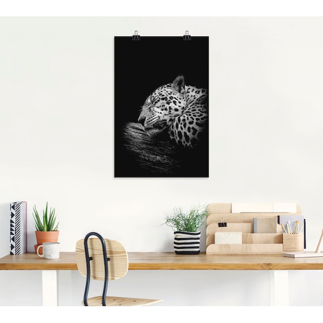 Artland Wandbild »Der schlafende Jaguar«, Wildtiere, (1 St.), als Alubild,  Leinwandbild, Wandaufkleber oder Poster in versch. Größen kaufen im OTTO  Online Shop