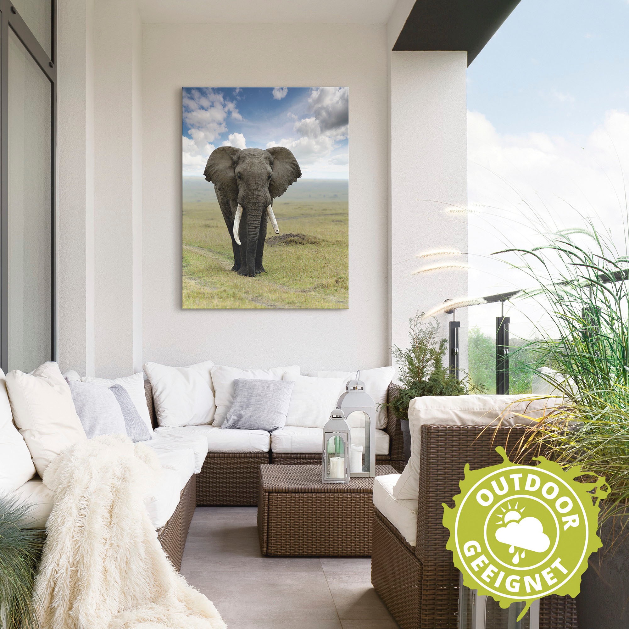 Artland Wandbild »Elefant« Wildtiere 1 Stk. tlg. als Alubild, Leinwandbild in verschied. Größen