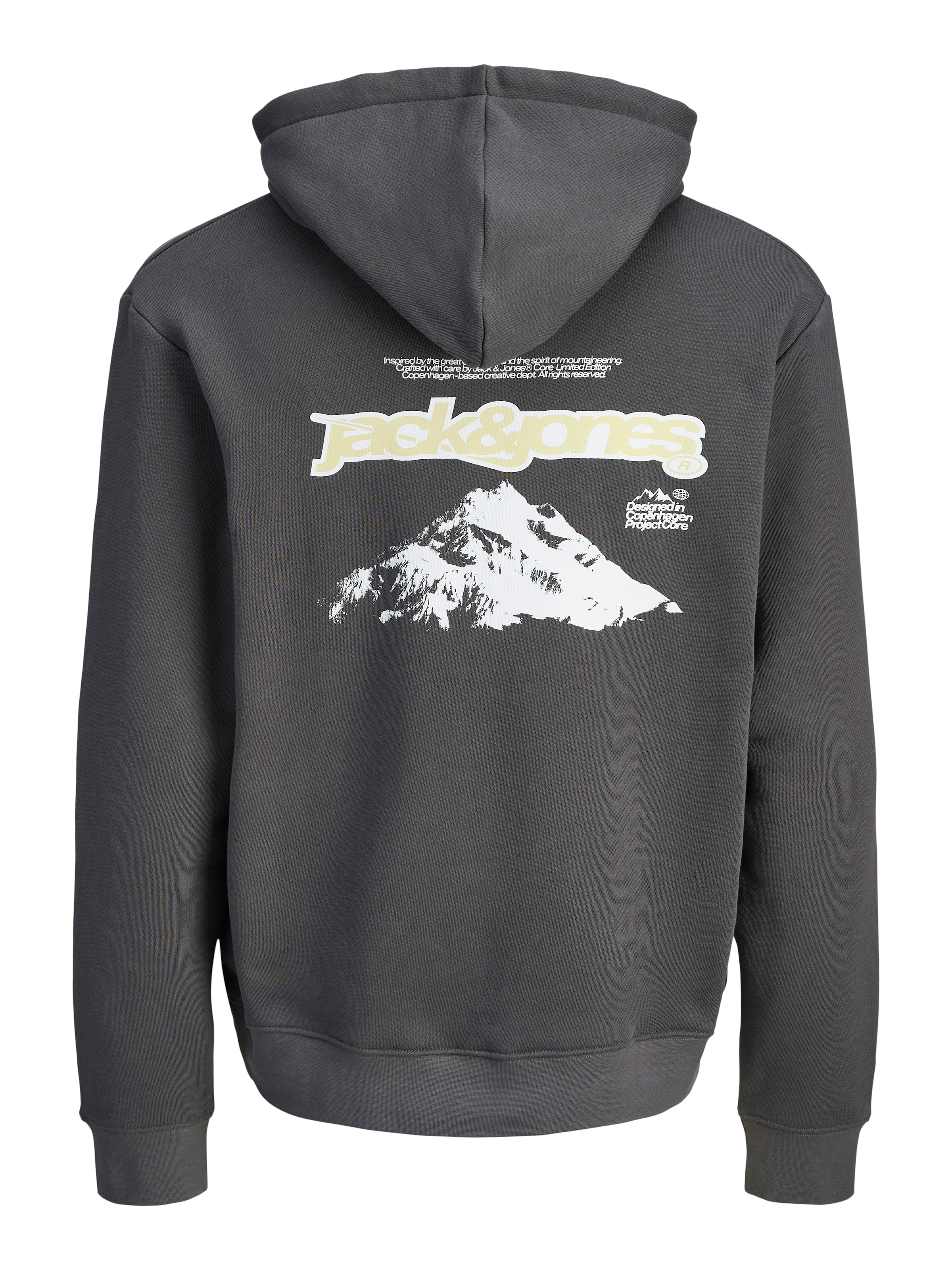 Jack & Jones Kapuzensweatshirt »JCOFLARE BACK PHOTO PRINT SWEAT HOOD«
