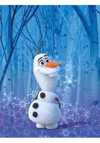 Poster »Frozen Olaf Crystal«, Disney, (1 St.)